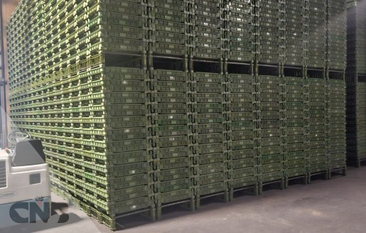 Foto van Kunststof gaasbakken-bloktype