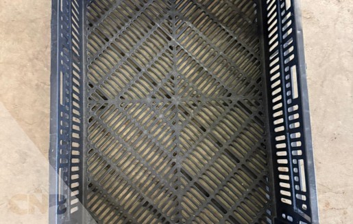 Foto van Tulpen exportkratten 60x40x18