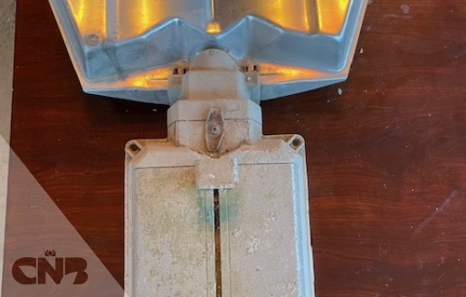 Foto van Assimilatielampen