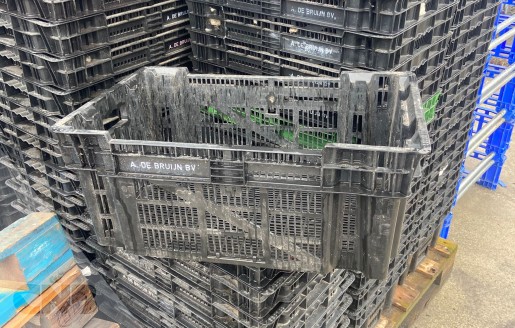 Foto van Nestbare leliekratten