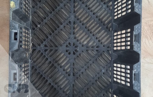Foto van Nestbare leliekratten