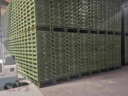 Kunststof gaasbakken-bloktype