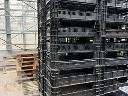 Kunststof kratten-Broeibakken