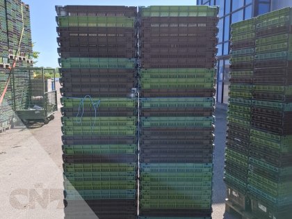 Curvers-Nestbare kratten