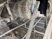 Foto van Fustreiniger-Agrifirm