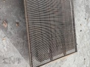 Foto van Rooizeefmat