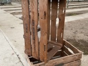 Foto van tulpenverzamelkisten