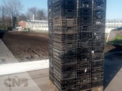 Foto van Tulpen export kratten